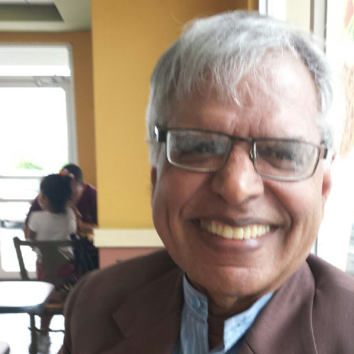 Photo of author Megh Goyal